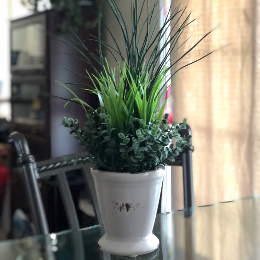 Artificial Spider Plant